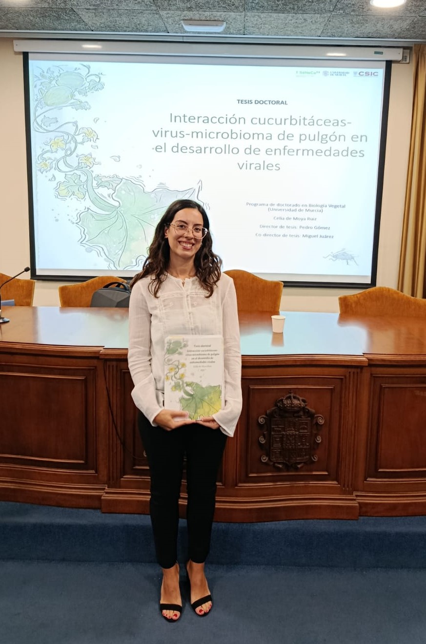 Gómez López, Pedro